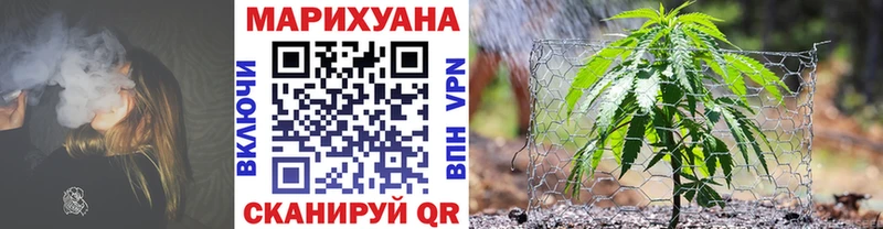 Купить закладки  Малаховка  Бошки Шишки ГИДРОПОН 
